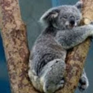 Meet your Posher, Prachi